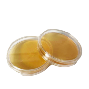 Boites contact Coliformes VRBLNEUTR
