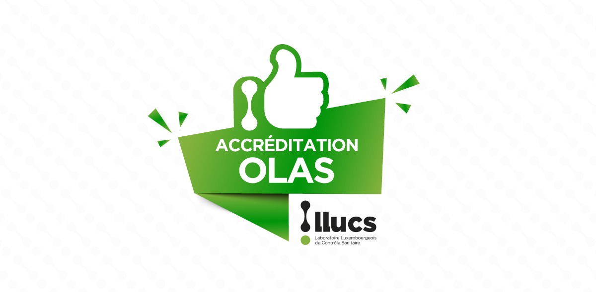 accreditation olas llucs 1200x589 1