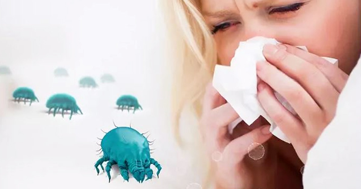 allergenes llucs air